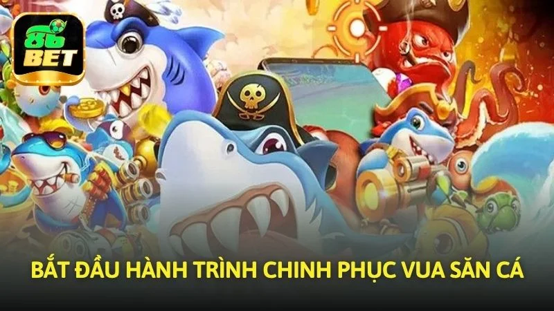 Bắt đầu hành trình chinh phục Vua săn cá