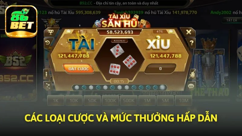 Các loại hình đặt tiền và mức thưởng hấp dẫn