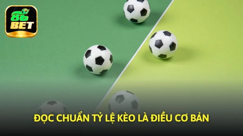 Đọc chuẩn các mức odds là điều cơ bản 