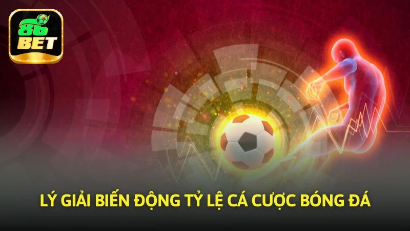 Lý giải biến động của các mức odds