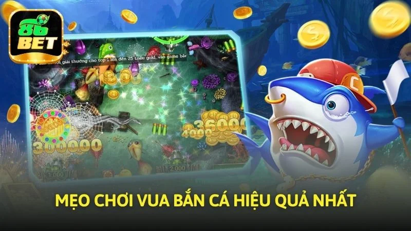 Mẹo tham gia Vua bắn cá hiệu quả nhất